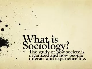 What is Sociology?