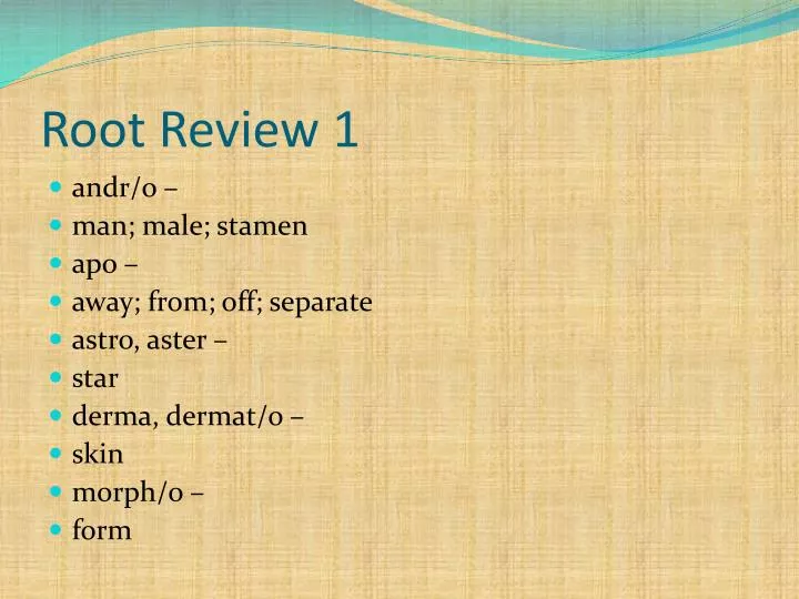 root review 1