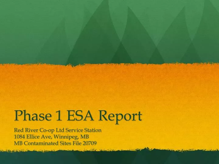 phase 1 esa report