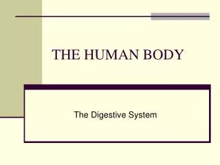 THE HUMAN BODY