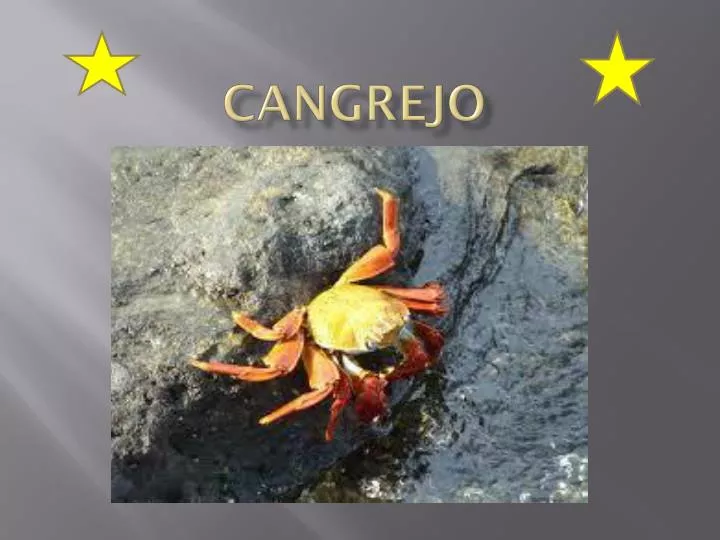 cangrejo