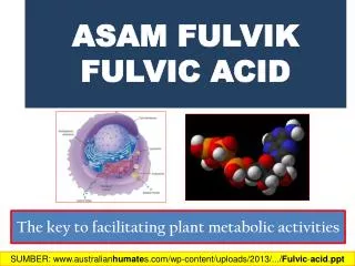 The key to facilitating plant metabolic activities