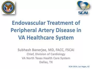Endovascular Treatment of Peripheral Artery Disease in VA Healthcare System