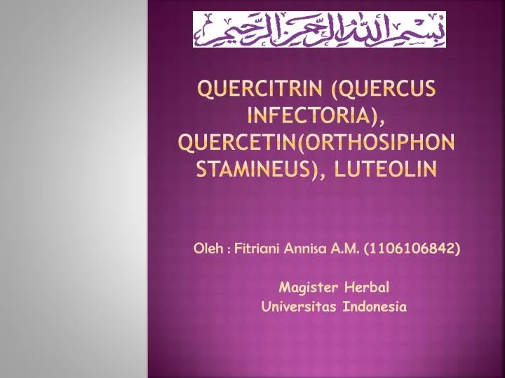 quercitrin quercus infectoria quercetin orthosiphon stamineus luteolin