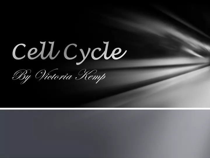 cell cycle