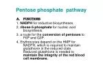 Pentose phosphate pathway - slide 1