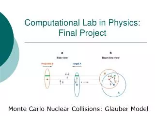 Computational Lab in Physics: Final Project