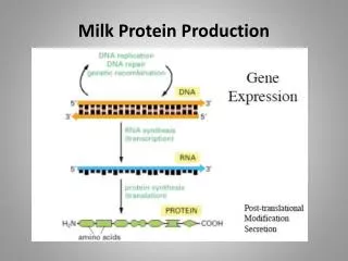 Milk Protein Production