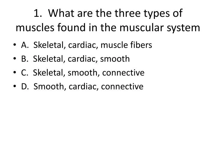 1 what are the three types of muscles found in the muscular system