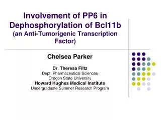 Involvement of PP6 in Dephosphorylation of Bcl11b (an Anti-Tumorigenic Transcription Factor)