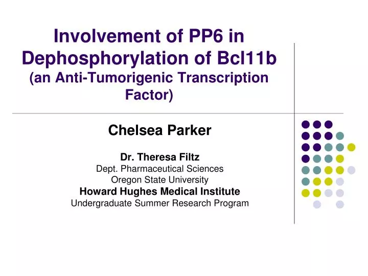 involvement of pp6 in dephosphorylation of bcl11b an anti tumorigenic transcription factor