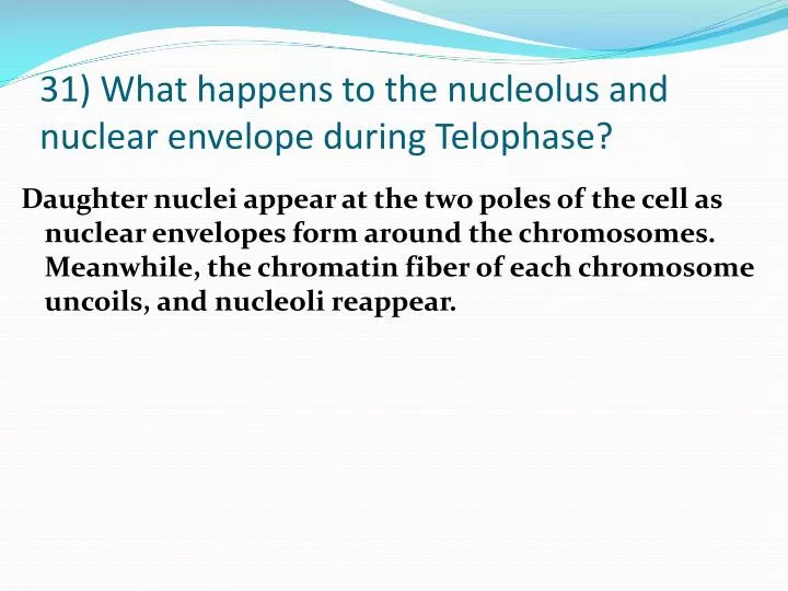 31 what happens to the nucleolus and nuclear envelope during telophase
