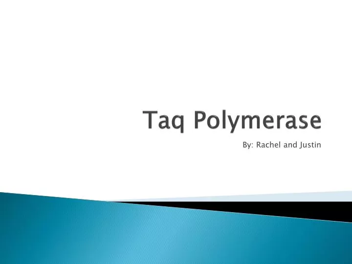taq polymerase