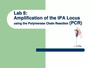 Lab 8: Amplification of the tPA Locus using the Polymerase Chain Reaction (PCR)