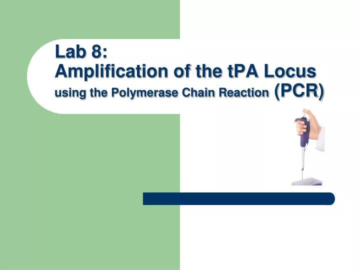 lab 8 amplification of the tpa locus using the polymerase chain reaction pcr