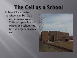 The Cell as a School