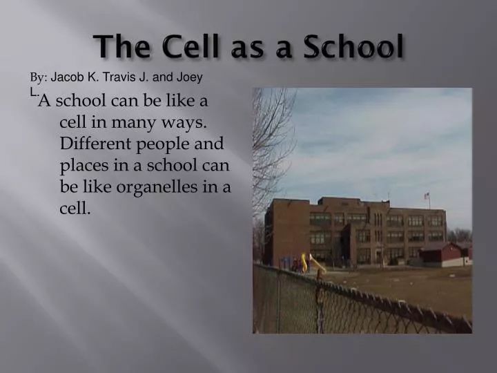 the cell as a school