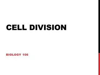 Cell division