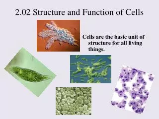 2.02 Structure and Function of Cells