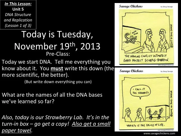 today is tuesday november 19 th 2013