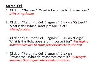 Animal Cell 1. Click on “Nucleus.” What is found within the nucleus? DNA or nucleolus