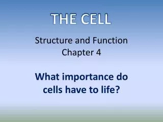 Structure and Function Chapter 4