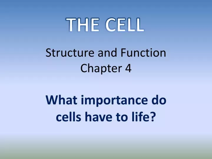 structure and function chapter 4