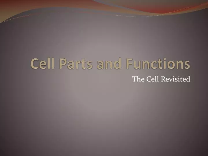 cell parts and functions