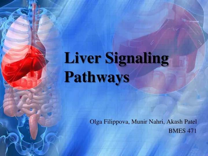 liver signaling pathways