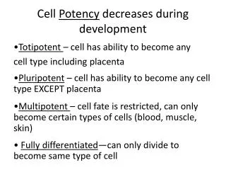Cell Potency decreases during development