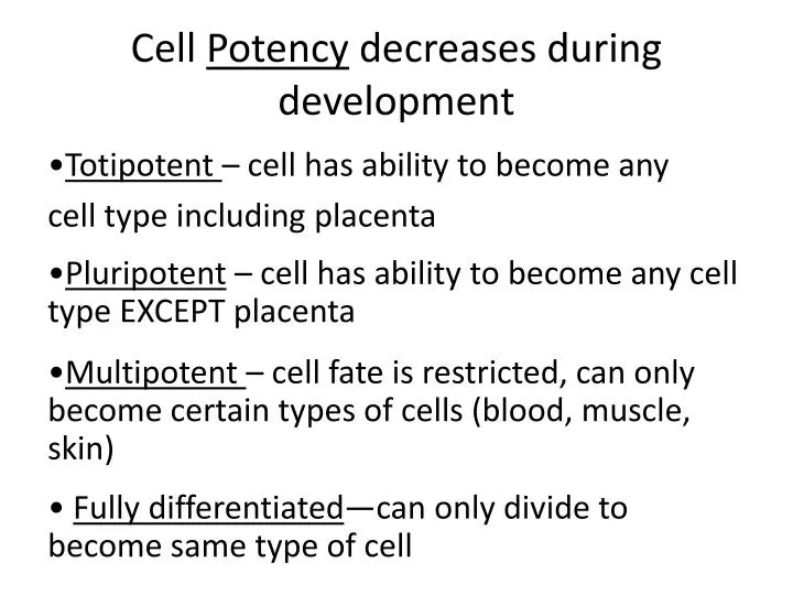 cell potency decreases during development