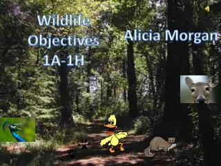 Wildlife Objectives 1A-1H