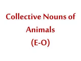 Collective Nouns of Animals (E-O)