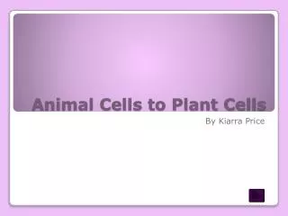 Animal Cells to Plant Cells