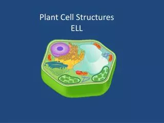 Plant Cell Structures ELL