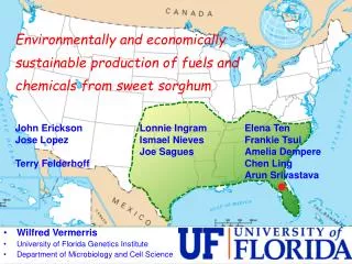 Environmentally and economically sustainable production of fuels and chemicals from sweet sorghum