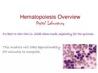 Hematopoiesis Overview Digital Laboratory