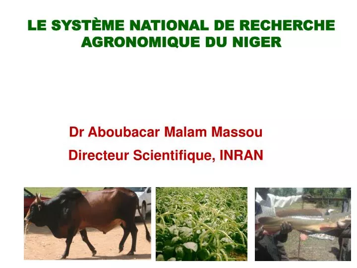 le syst me national de recherche agronomique du niger