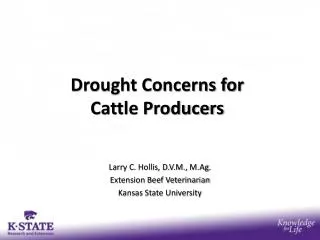 Drought Concerns for Cattle Producers