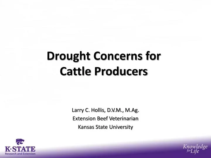 drought concerns for cattle producers