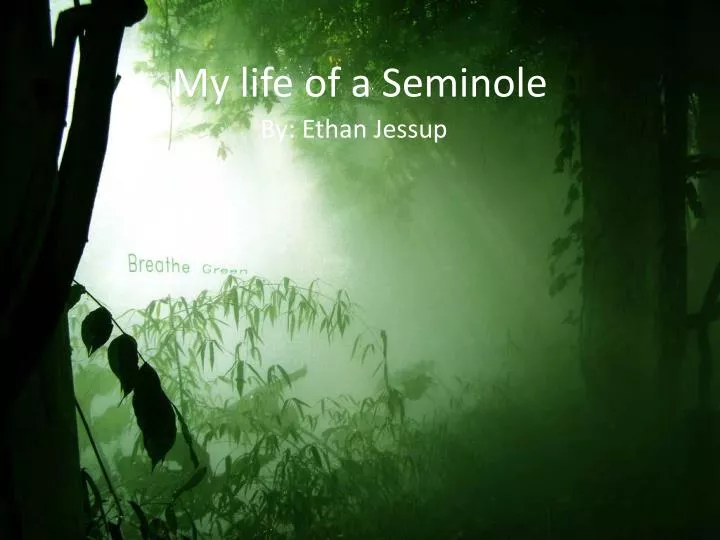 my life of a seminole
