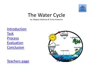 The Water Cycle by: Meghan Maloney &amp; Trisha Anderson
