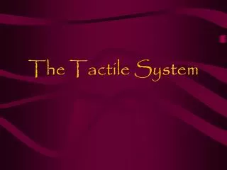 The Tactile System