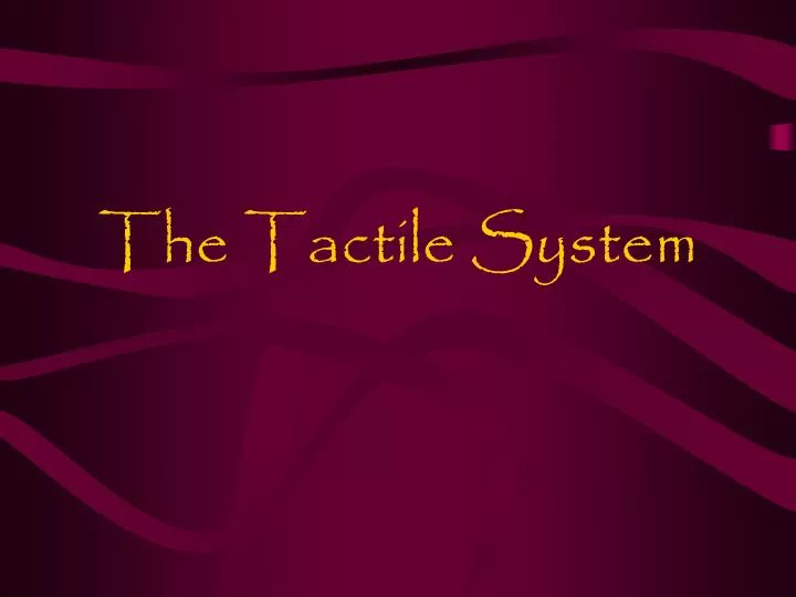 the tactile system