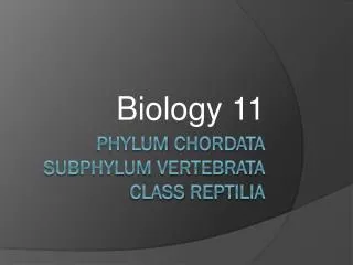 Phylum Chordata Subphylum vertebrata Class reptilia