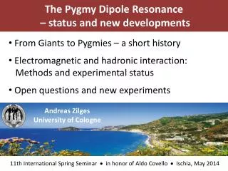 The Pygmy Dipole Resonance – status and new developments