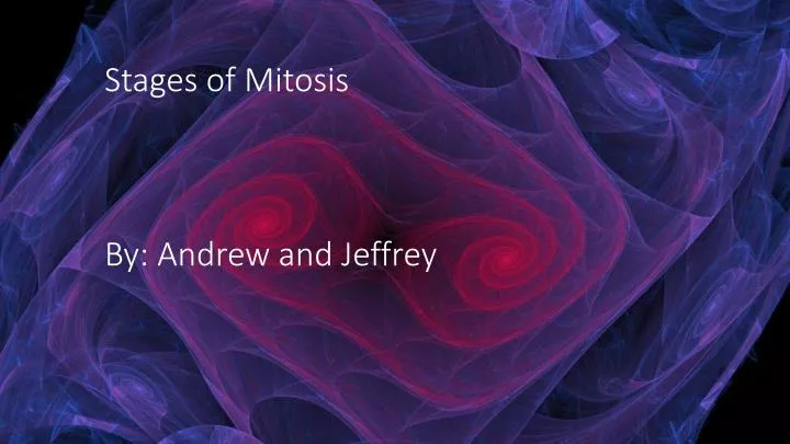 stages of mitosis