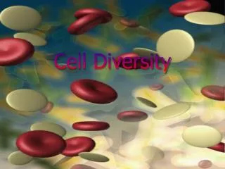 Cell Diversity