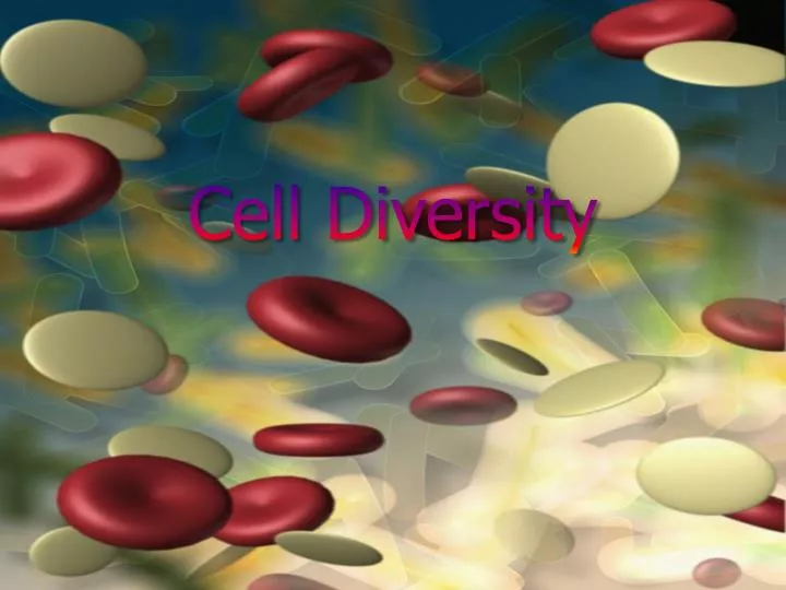 cell diversity
