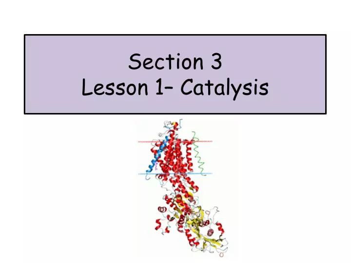 section 3 lesson 1 catalysis